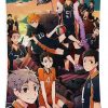 1 haikyuu karasuno team janic tilton 1 - Anime Tapestry Store