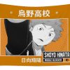haikyuu shoyo hinata karasuno high school mhammed el garni transparent - Anime Tapestry Store